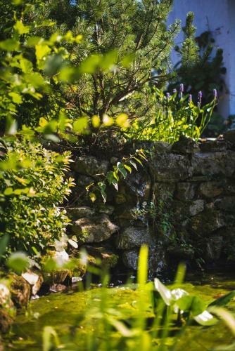 Bed & Breakfast Domaine De Terrac
