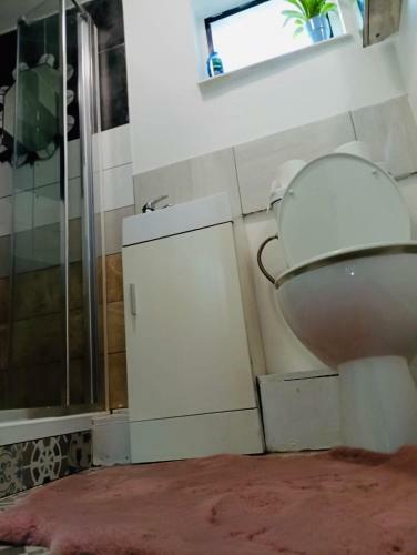 Apartamento Jacuzzi Jungle City Centre