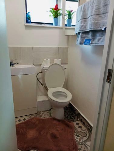 Apartamento Jacuzzi Jungle City Centre