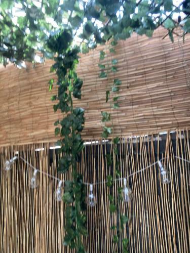 Apartamento Jacuzzi Jungle City Centre