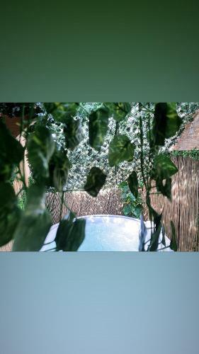Apartamento Jacuzzi Jungle City Centre