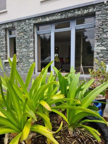 Ard Kielin Apartment Luxury 2 Bedroom In Killarney