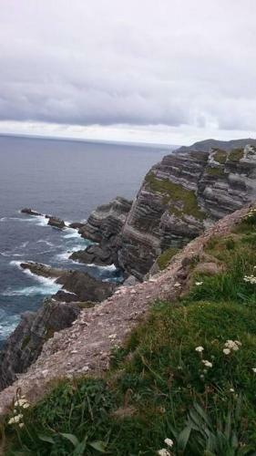 Apartamento Skellig View Bluebell Rose & The Kerry Cliffs