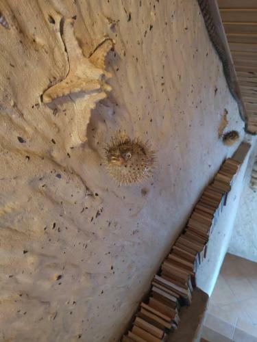 Apartamento Guest House In ?ventoji