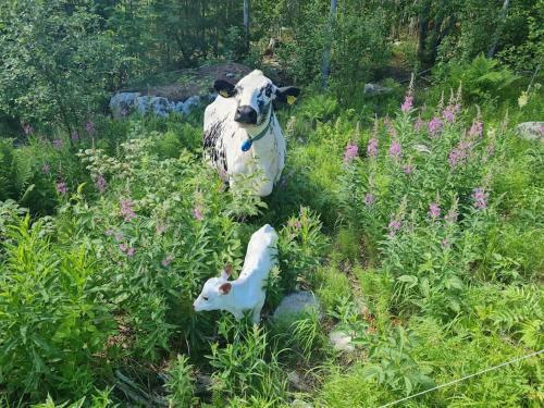 H�lsingeg�rd I Levande Landsbygd