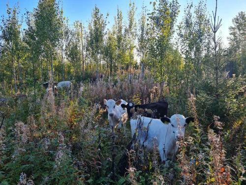 H�lsingeg�rd I Levande Landsbygd