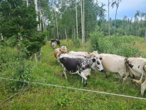 H�lsingeg�rd I Levande Landsbygd