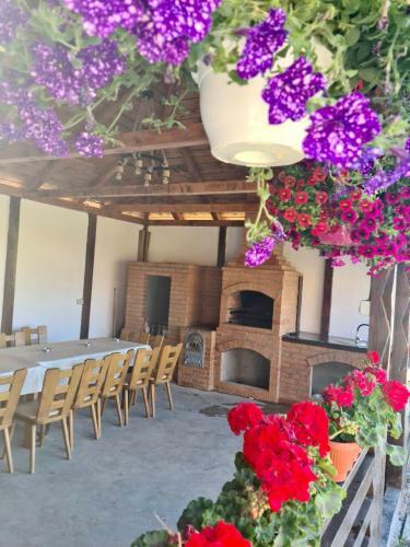 Case De Vacan?? �n Bucovina
