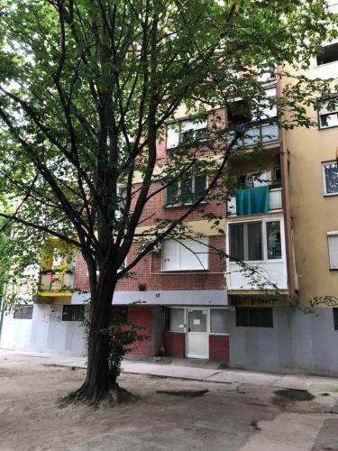 Apartman Lavanda