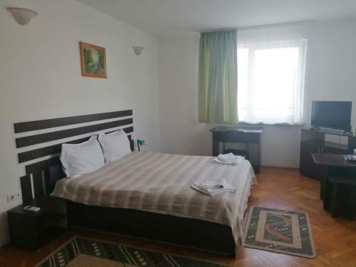 Hostal Pensiunea Cezara
