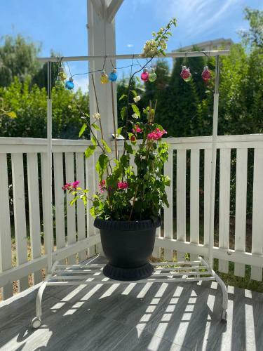 Forever Friday Apartment Cosmopolis