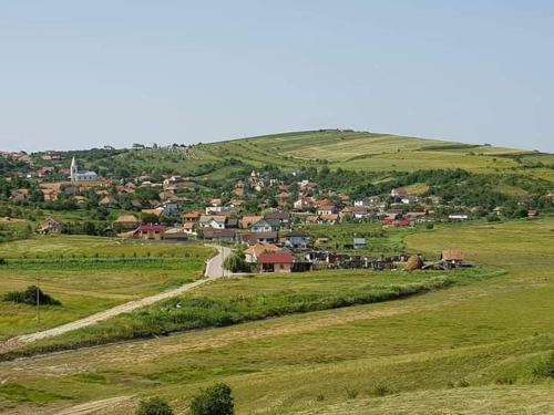 Villa Stone House Next To Cluj-napoca