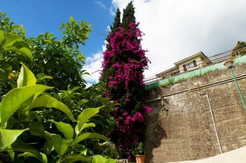 Apartamento La Casa Rosa Dolceacqua