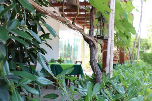 Agroturismo Agriturismo La Contessa