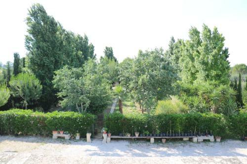 Agroturismo Agriturismo La Contessa