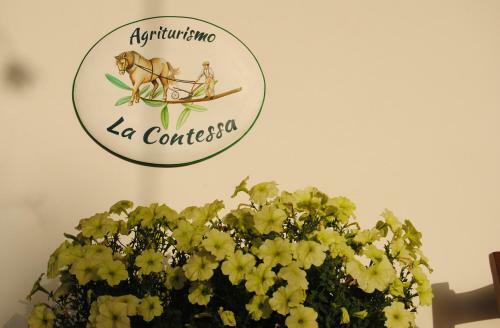 Agroturismo Agriturismo La Contessa