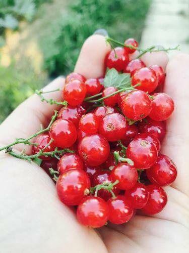 Agroturismo Agriturismo La Contessa