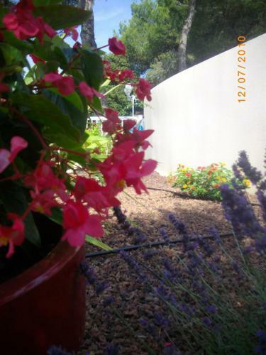 Hotel H�tel Le Valaurie