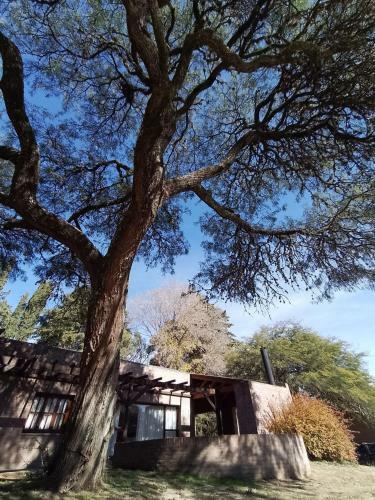 Casa Las Magnolias Villa General Belgrano