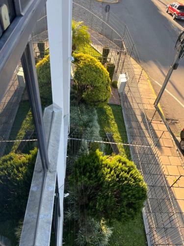 Apartamento Em Bento Gon�alves