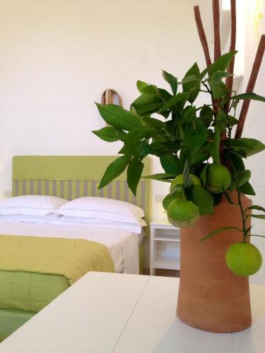 Agroturismo Masseria Corte Degli Asini