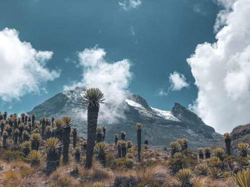 Finca Agroturistica La Reconexi�n