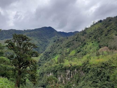 Finca Agroturistica La Reconexi�n