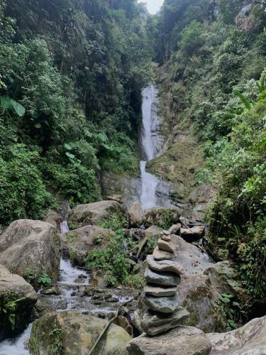 Finca Agroturistica La Reconexi�n