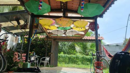 Junglebeachbliss!