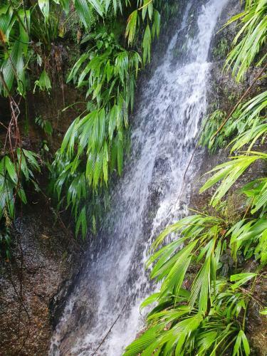 Posada Mirador Aman�