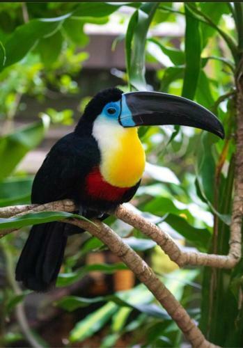 Hostal Meditating Waves