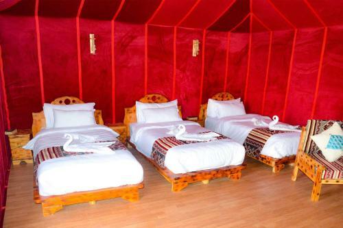 Relaxing Desert Camp - Luxury & Royal