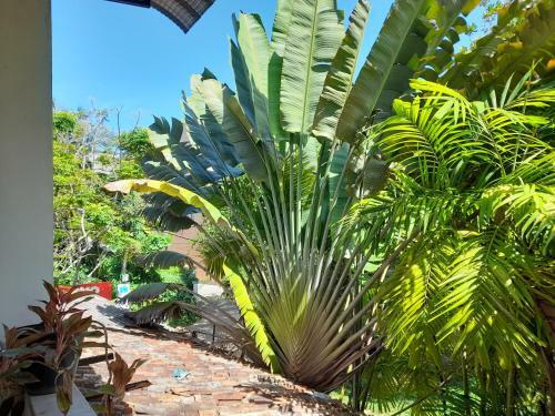 Hostal Mealanie's House