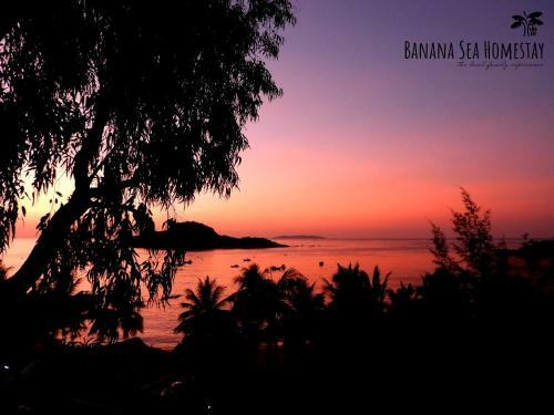 Banana Homestay