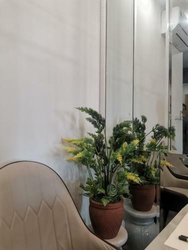 Apartamento Tms Quy Nh?n Condotel