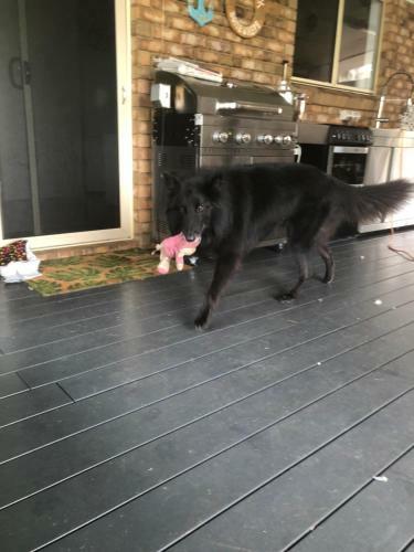 Pet Friendly Home With Pool And Boat Parking.