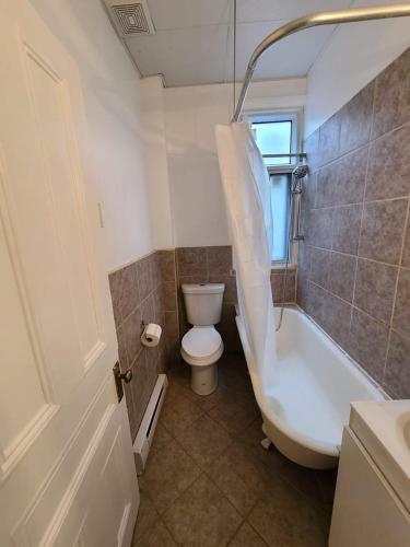 Pet Friendly  Tv + Netflix  Room C