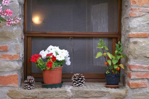 Apartamento Oliveto Di Teodora