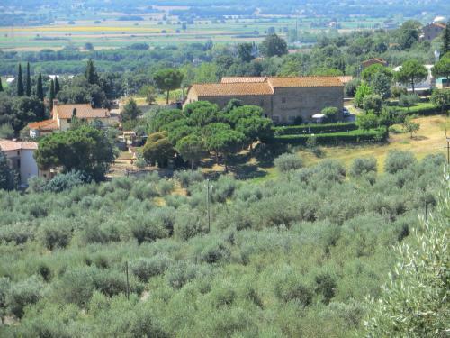 Apartamento Oliveto Di Teodora