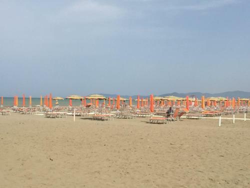 Apartment Il Girasole Grosseto