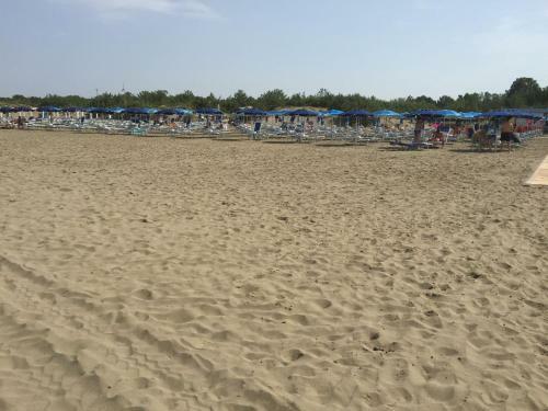 Apartment Il Girasole Grosseto