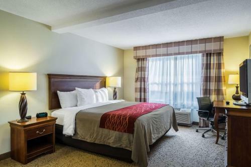 Hotel Comfort Inn & Suites Dover