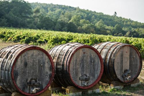 Bed & Breakfast Les Terres De Saint Hilaire