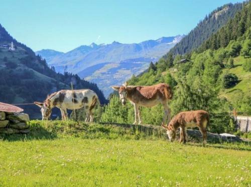 Bed & Breakfast Le Chalet Des Anges