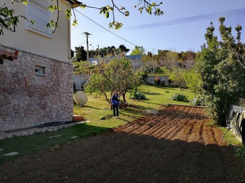 Apartamento M&m Majestic Views Studio