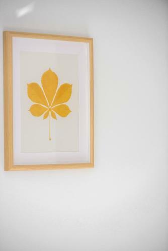 Apartamento H Experience Spectacular Rooftop Loft