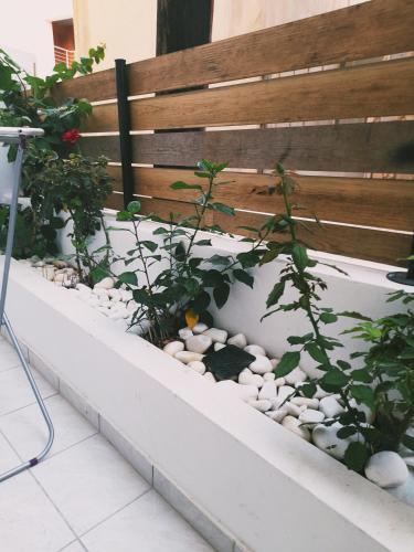 Apartamento Central Studio 2