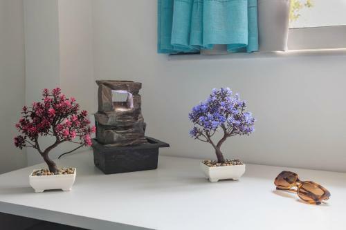Electra Modern Apartment With Cozy Garden