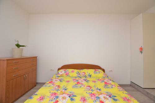 Apartment Butterfly