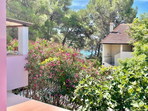 Modern And Stylish Apartments